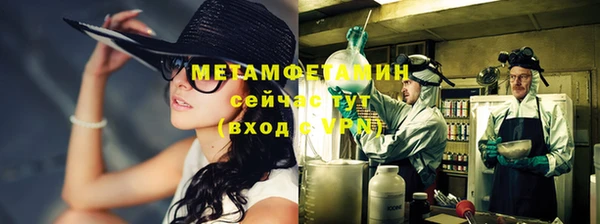 стаф Волосово