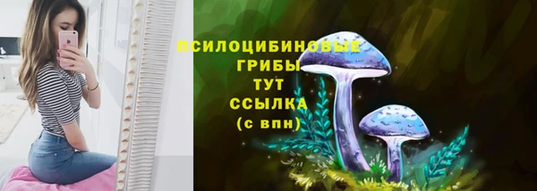 стаф Волосово