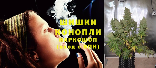 стаф Волосово